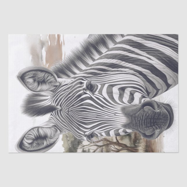Papel De Seda Esboço do Lápis Zebra Africano (Frente )