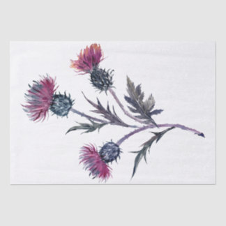 Papel De Seda Escócia Highland Thistle Watercolor