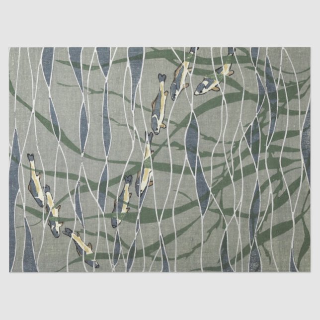 Papel De Seda Escola de Peixes em Kelp (Frente )