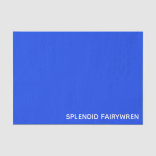 Papel De Seda Esplêndido Nome de Cor Azul Fairywren