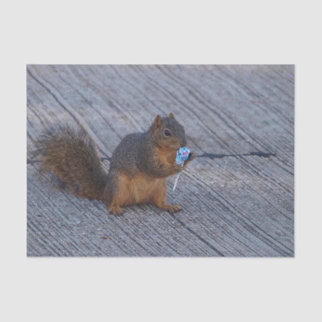 Papel De Seda Esquilo com pop (Frente )