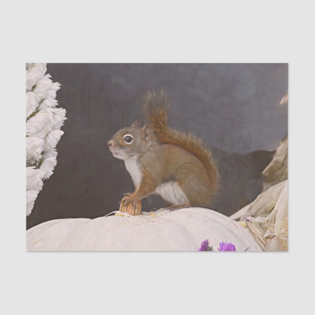 Papel De Seda Esquilo De Madeira Sentado Na Pumpkin (Frente )