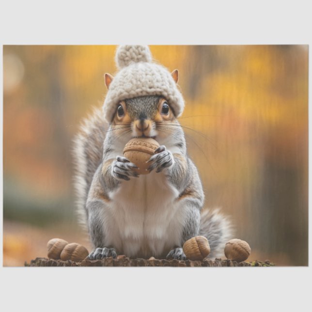 Papel De Seda Esquilo no Knit Hat Holding Nut (Frente )