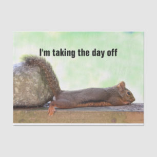Papel De Seda Esquilo preguiçoso