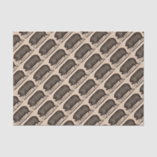 Papel De Seda Estampagem de fazenda do século XIX Porcas de Berk