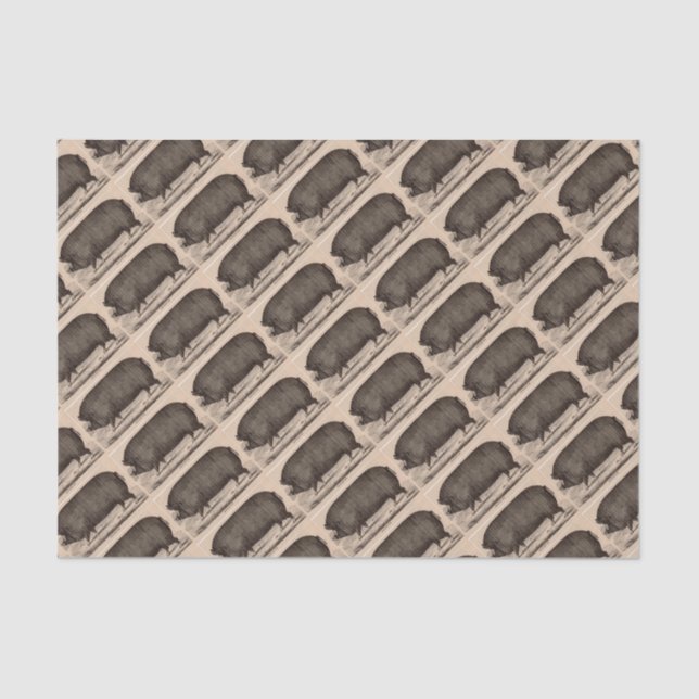 Papel De Seda Estampagem de fazenda do século XIX Porcas de Berk (Frente )