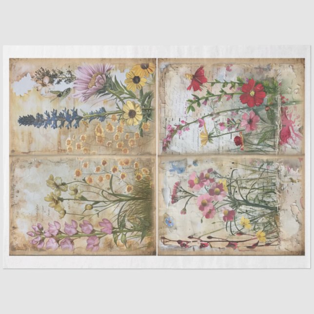 Papel De Seda Estilo de Mídia Misturado Scrapbook Plano de Fundo (Frente )