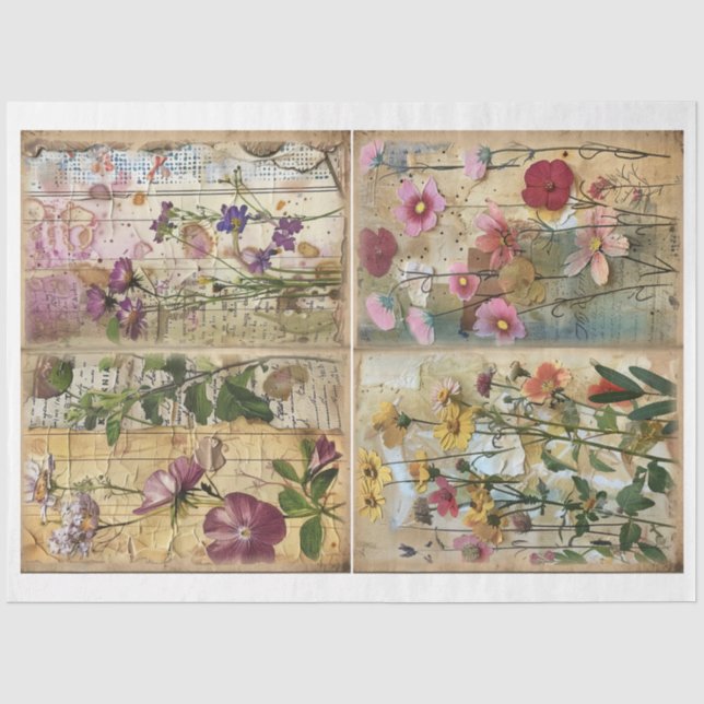 Papel De Seda Estilo de Mídia Misturado Scrapbook Plano de Fundo (Frente )