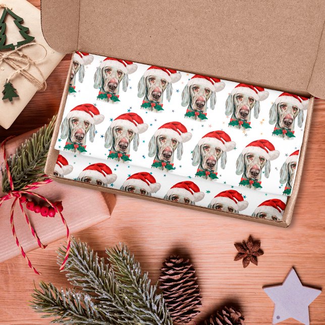 Papel De Seda Estrelas de Natal de Cachorro-Weimaraner (Criador carregado)