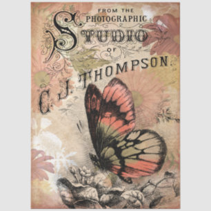 Papel De Seda Estúdio Fotográfico Vintage Floral Borboleta Lettr