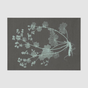 Papel De Seda Estudo sobre a Natureza da Casa da Moeda e do Carv