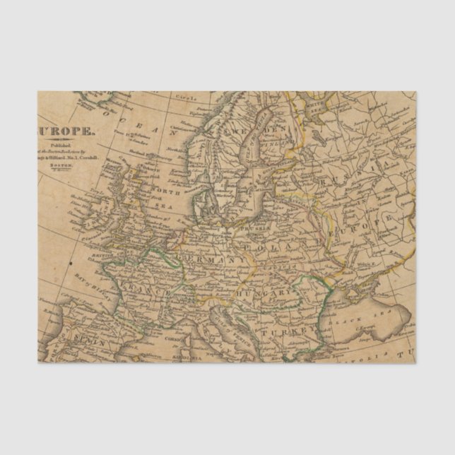 Papel De Seda Europa 22 (Frente )