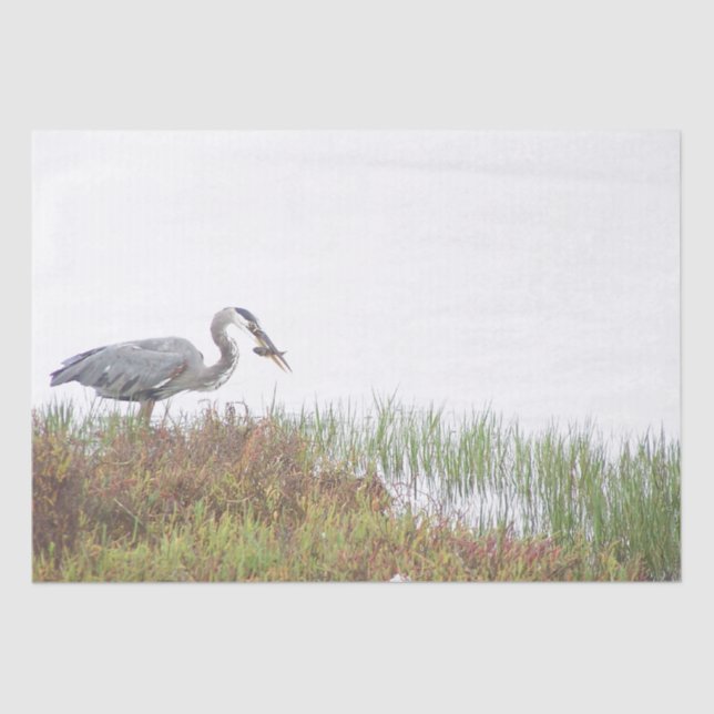 Papel De Seda Excelente Blue Heron Bird Willife Fish Tissue Pape (Frente )