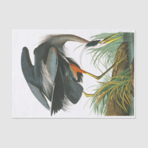 Papel De Seda Excelente Blue Heron por John James Audubon