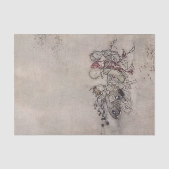Papel De Seda “Fadas de Midsummer” por Arthur Rackham (Frente )