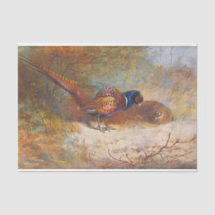 Papel De Seda Faisão de Archibald Thorburn