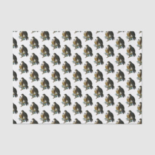 Papel De Seda Falcões Estilizados Vintage em Galho