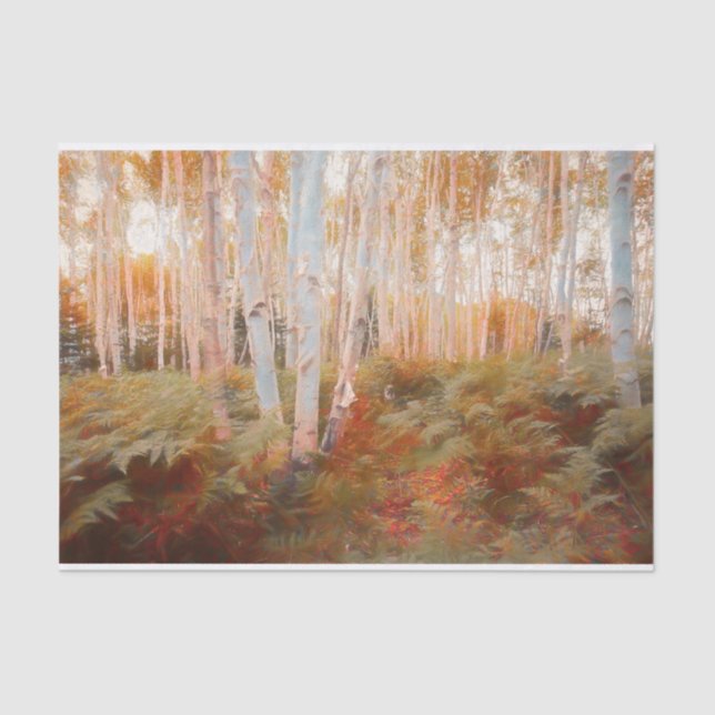 Papel De Seda Fall Woodland Fern Forest Birch Tres Art (Frente )