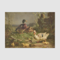 Família de Patos por Carl Jutz