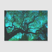 Fantasy Turquoise Tree Silhouette