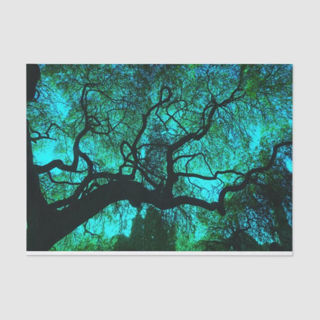 Papel De Seda Fantasy Turquoise Tree Silhouette (Frente )