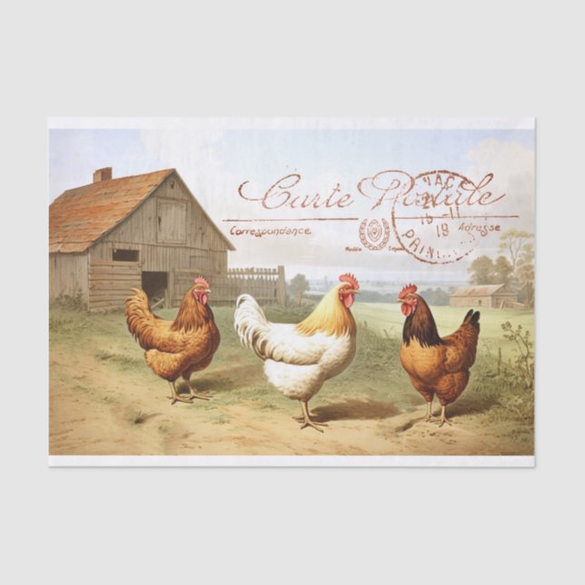 Papel De Seda Farmhouse Francês - Galinha - Rim Hen - Decoupage (Frente )