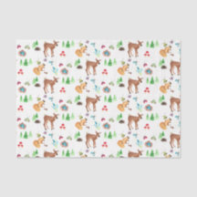 Fawn de floresta e amigos