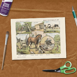 Papel De Seda Fazenda Animal Vintage - Descamação de Trabalhos d
