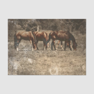 Papel De Seda Fazenda de Cavalos País Antigo Rústico Ocidental