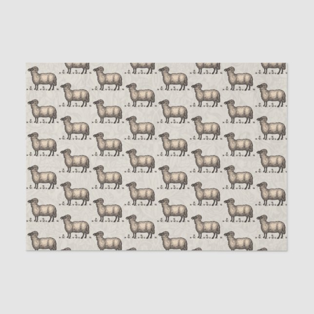 Papel De Seda Fazenda De Ovinos (Frente )