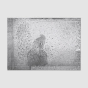 Papel De Seda Fazenda de Textura Branca Antica com Vintagem de G