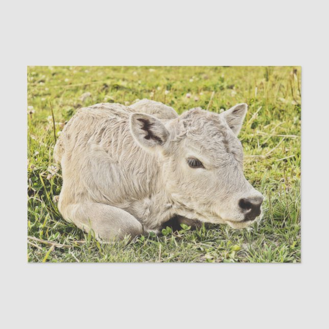 Papel De Seda Fazenda de Vacas Rústica Decoupage Campestre (Frente )