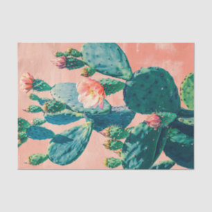 Papel De Seda Fechar Cactus com a Desmontagem de Parede Rosa-Cor