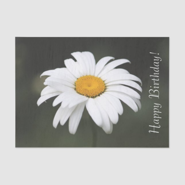 Papel De Seda Feliz Aniversário Daisy Tissue (Frente )
