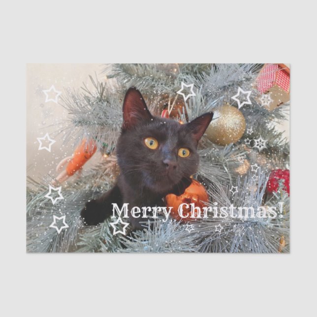 Papel De Seda Feliz Natal de Gato Preto, Decoupage (Frente )