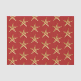 Papel De Seda Feriado de Natal da Praia da Costeira de Peixes Do