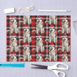 Papel De Seda Feriado de Natal do Cão Malamute da Xadrez Vermelh