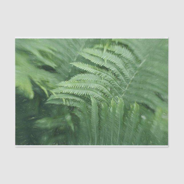 Papel De Seda Fern deixa arte botânica (Frente )
