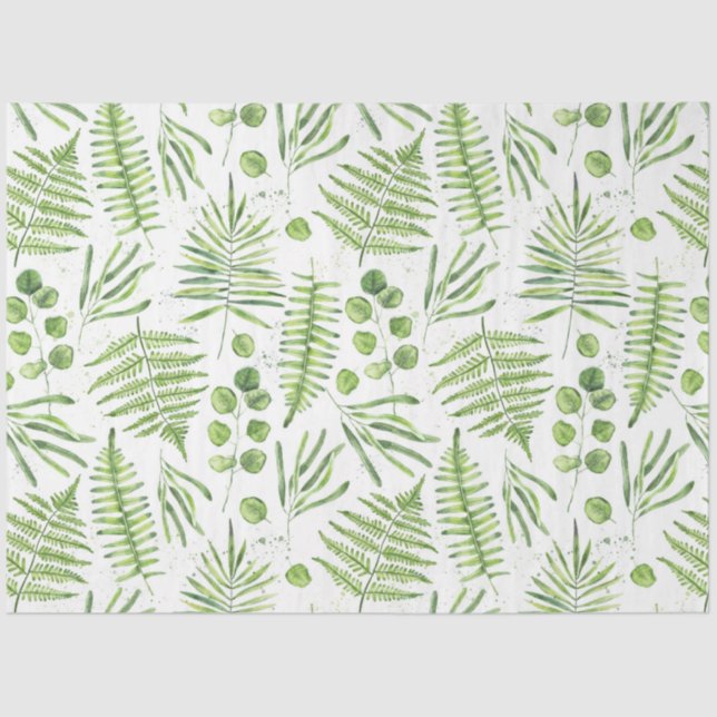 Papel De Seda Ferns de Aquarela e Padrão de Eucalyptus (Frente )