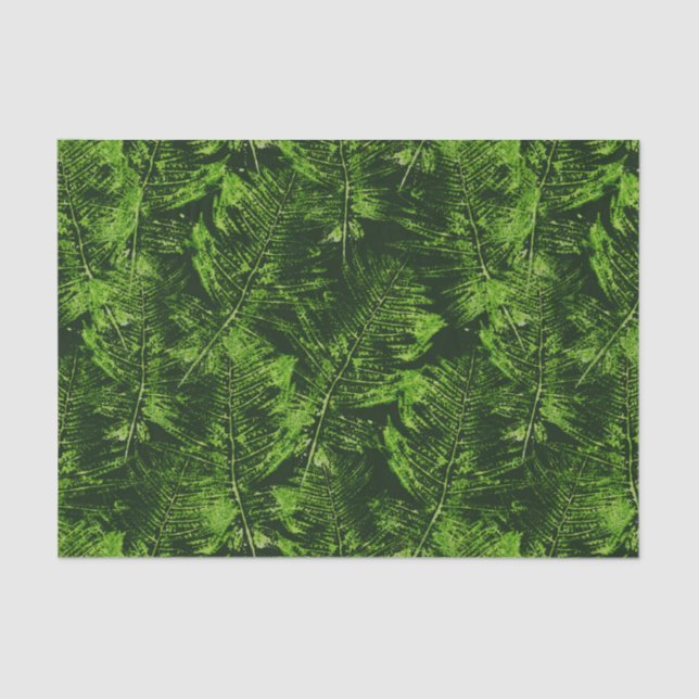 Papel De Seda Ferns Pintados (Frente )