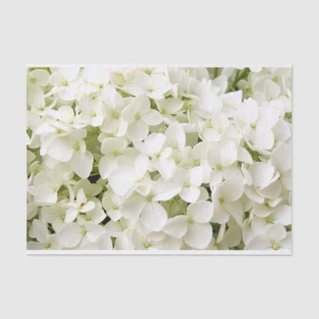 Papel De Seda Festa de Verão com Hortênsia Branca  (Frente )