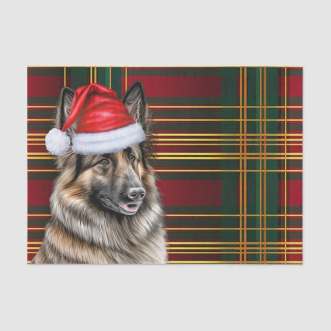 Papel De Seda Festivo belga Tervuren Xadrez de cães Natal (Frente )