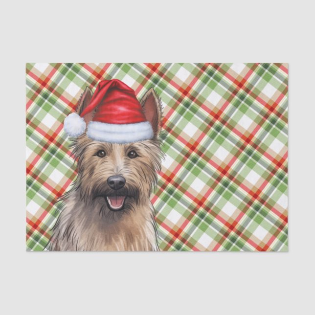 Papel De Seda Festivo Berger Picard Dog Xadrez Natal (Frente )