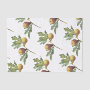 Papel De Seda Fig Pattern