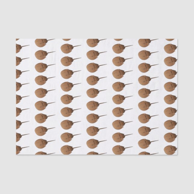 Papel De Seda Figura de desenho animado em ferradura (Frente )