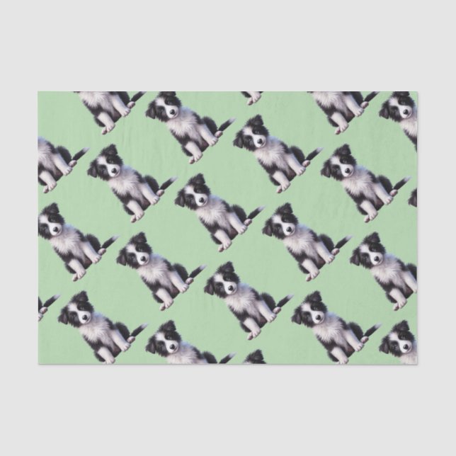 Papel De Seda Filhote de Border Collie Fofo (Frente )
