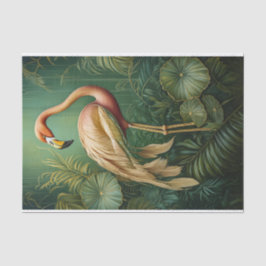 Papel De Seda Flamingo Feathery Finery, Botânica Elegante