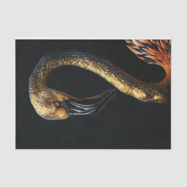 Papel De Seda Flamingo negro e Dourado7 (Frente )