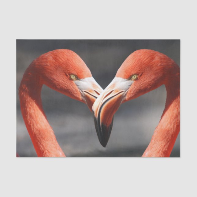 Papel De Seda Flamingoes no Amor (Frente )