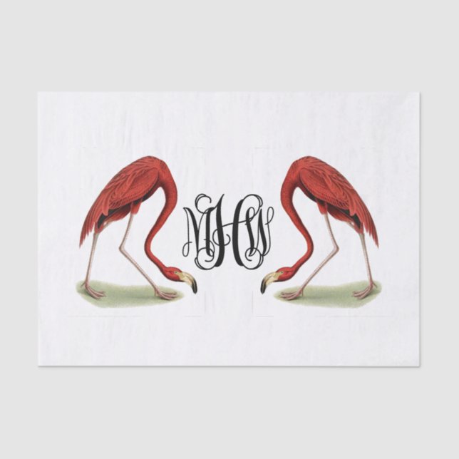 Papel De Seda Flamingos Black Vine Script Monograma DIY BG (Frente )